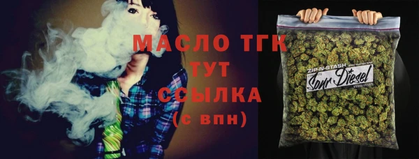индика Елизово