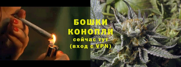 тгк Ельня