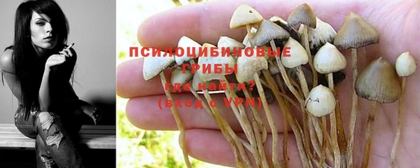 тгк Ельня