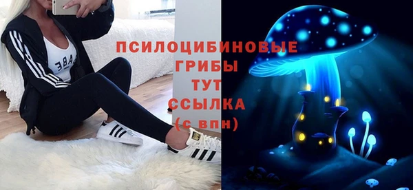 индика Елизово