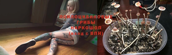 PSILOCYBIN Заволжск