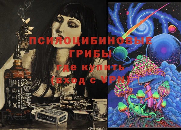 PSILOCYBIN Заволжск