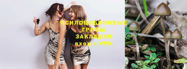 тгк Ельня