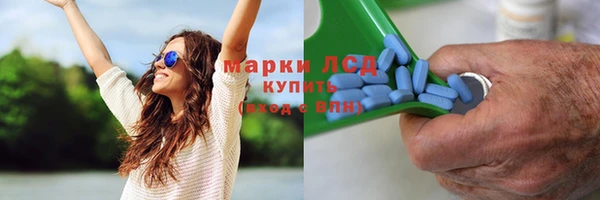 индика Елизово