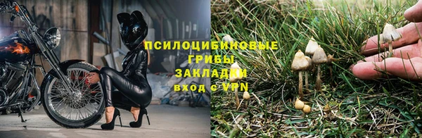 2c-b Елабуга