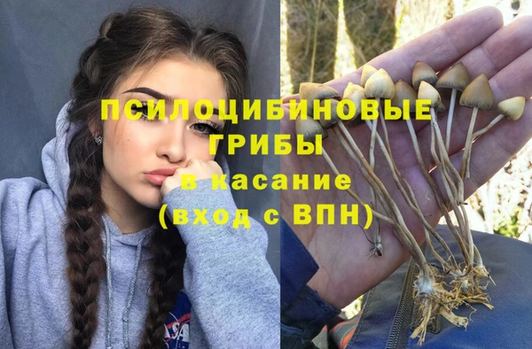индика Елизово