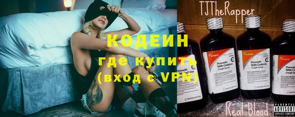 индика Елизово