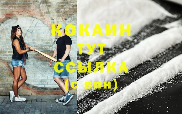индика Елизово